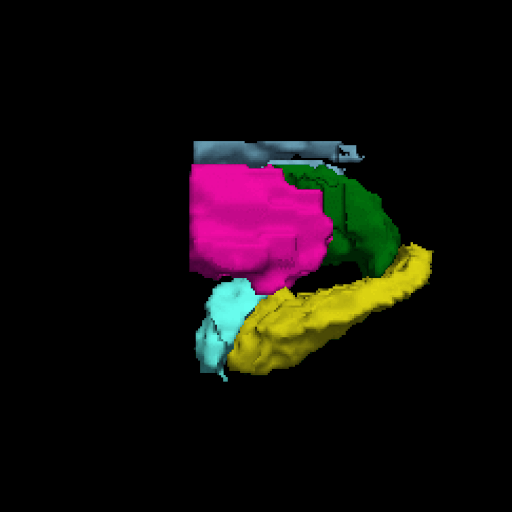 hip gif